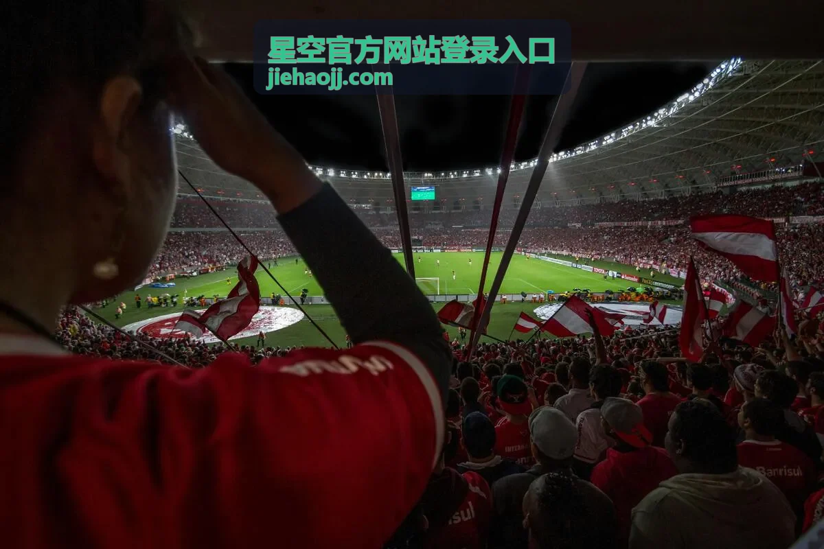 星空官方网站登录入口登录记录查询说明